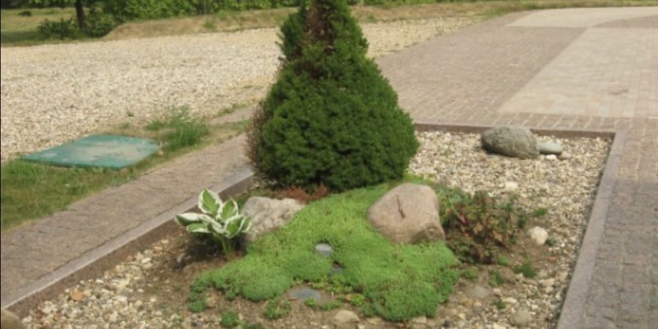 GIARDINIERA PROF. LAUREATA IN AGRARIA