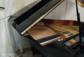 Pianoforte K Kawai KF1