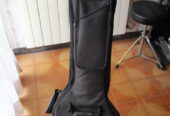 Basso elettrico ibanez gsr180 con custodia