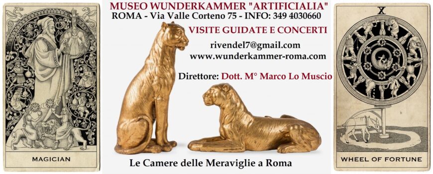 Visite guidate + concerto nella Wunderkammer Roma!