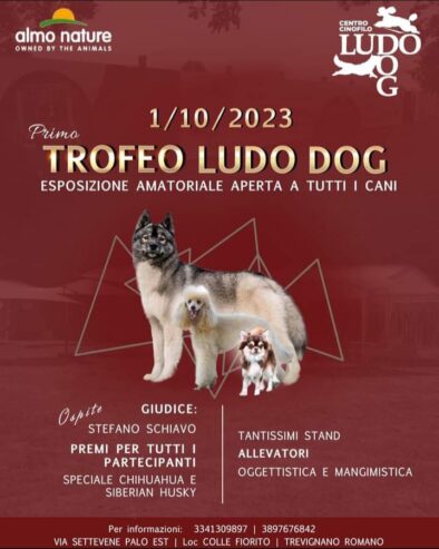 Manifestazione cinofila trofeo LUDODOG