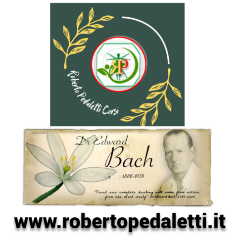 Corso Fiori Di Bach Professionale