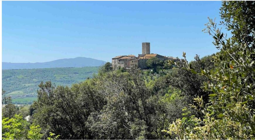 **Appartamento con Vista Panoramica sul Tevere*