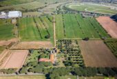 Cantina di Castel Romano vini sfusi di qualità