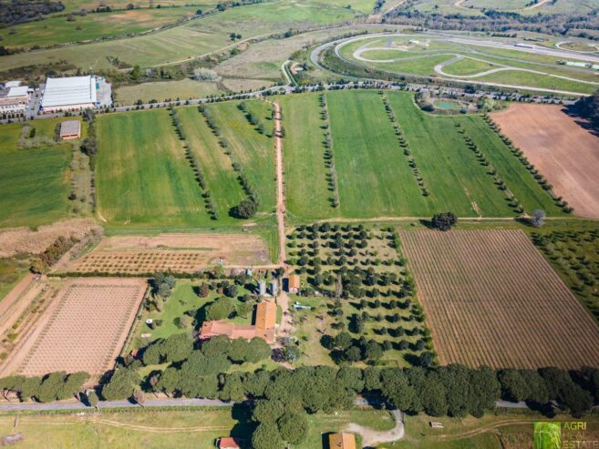 Cantina di Castel Romano vini sfusi di qualità